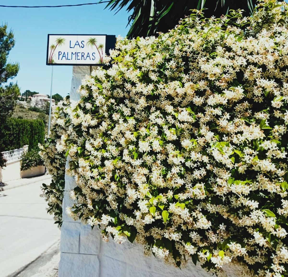 Las Palmeras Alberic Buitenkant foto